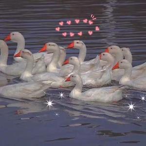 蓝轩宇弄得满床都是牛奶小说
